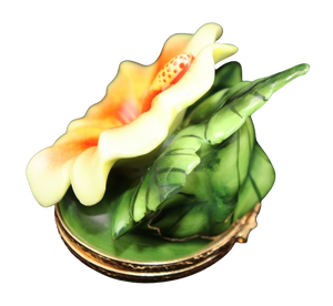 Artikelnummer 3529 - Hawaiianischer Hibiskus