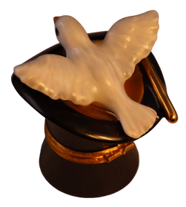 SKU# 36008 - Sombrero de mago con paloma - (RETIRADO)