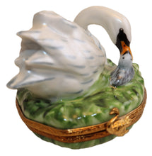 Lade das Bild in den Galerie-Viewer, SKU# 36017 - Mother Swan and her chick
