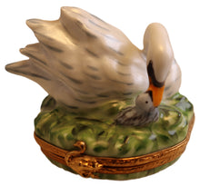 Lade das Bild in den Galerie-Viewer, SKU# 36017 - Mother Swan and her chick
