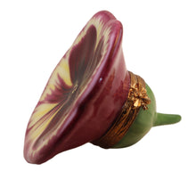 Lade das Bild in den Galerie-Viewer, SKU# 36039 - Purple Pansy
