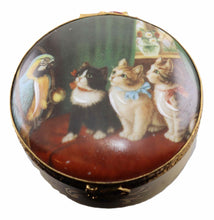 Cargar imagen en el visor de la galería, SKU# 5251C - Cats and parrot - decal box.
