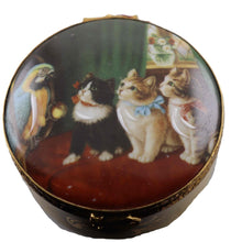 Cargar imagen en el visor de la galería, SKU# 5251C - Cats and parrot - decal box.
