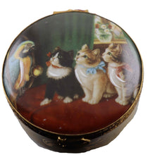 Cargar imagen en el visor de la galería, SKU# 5251C - Cats and parrot - decal box.
