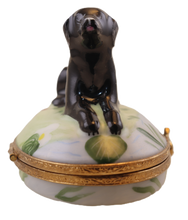 Lade das Bild in den Galerie-Viewer, SKU# 6002 - Labrador Retriever Schwarz
