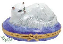 Cargar imagen en el visor de la galería, SKU# 6020 - Persa chinchilla
