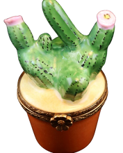 Cargar imagen en el visor de la galería, Código 6047 - Cactus
