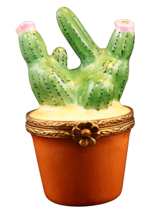 Código 6047 - Cactus