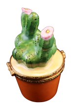 Cargar imagen en el visor de la galería, Código 6047 - Cactus
