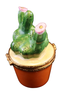 Código 6047 - Cactus