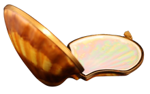 Cargar imagen en el visor de la galería, SKU# 6060 - Almeja marrón claro
