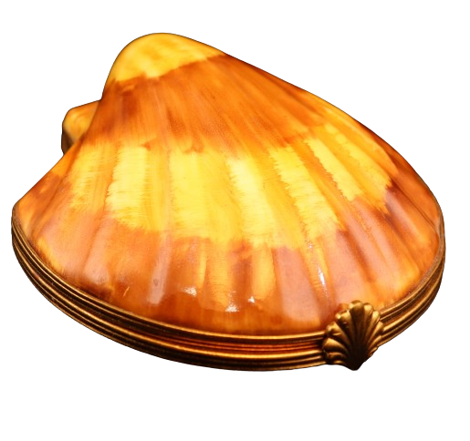 SKU# 6060 - Almeja marrón claro