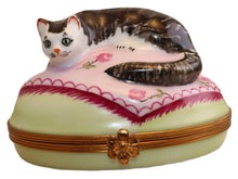 Lade das Bild in den Galerie-Viewer, SKU# 6234 - Large Cat
