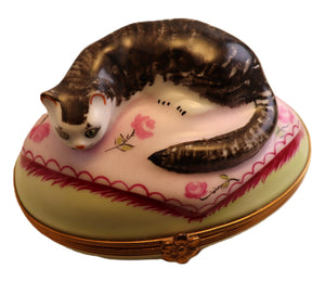 SKU# 6234 - Large Cat