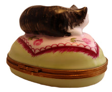 Lade das Bild in den Galerie-Viewer, SKU# 6234 - Large Cat
