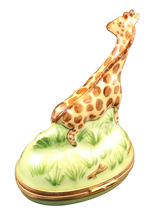 Load image into Gallery viewer, SKU# 6252 - Giraffe
