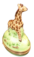 Load image into Gallery viewer, SKU# 6252 - Giraffe
