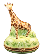 Load image into Gallery viewer, SKU# 6252 - Giraffe
