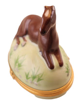 Lade das Bild in den Galerie-Viewer, SKU# 6256B - Horse Brown
