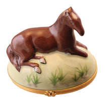 Lade das Bild in den Galerie-Viewer, SKU# 6256B - Horse Brown
