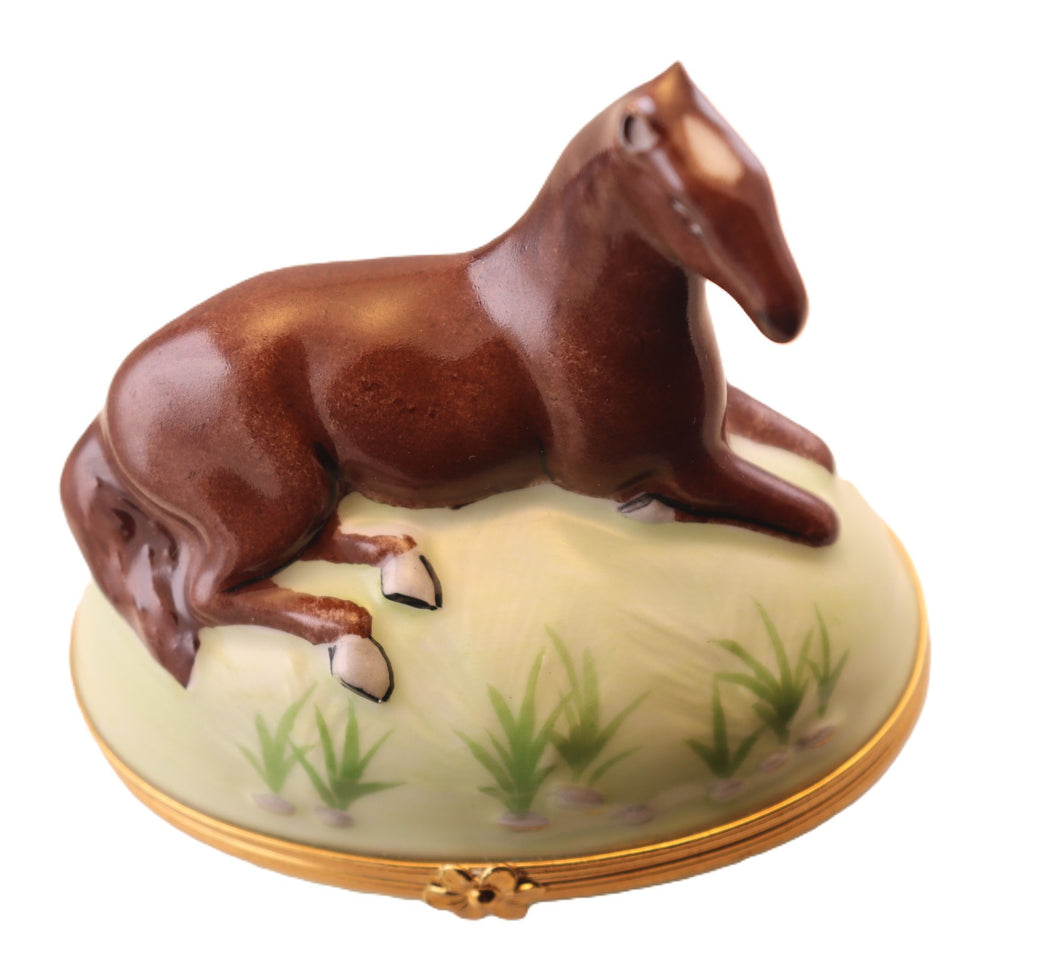 SKU# 6256B - Horse Brown