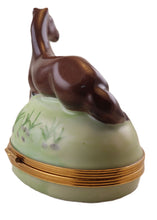 Lade das Bild in den Galerie-Viewer, SKU# 6256B - Horse Brown

