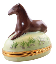 Lade das Bild in den Galerie-Viewer, SKU# 6256B - Horse Brown
