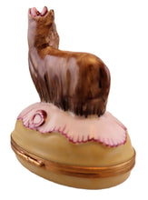 Lade das Bild in den Galerie-Viewer, SKU# 6258 - Große Yorkie-Box

