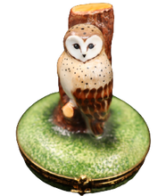 Load image into Gallery viewer, SKU# 6271 - Brown Owl
