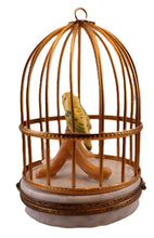 Lade das Bild in den Galerie-Viewer, SKU# 6290A - Yellow &amp; Green Lovebirds In Cage

