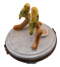 Lade das Bild in den Galerie-Viewer, SKU# 6290A - Yellow &amp; Green Lovebirds In Cage
