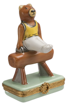 Load image into Gallery viewer, SKU# 7075 - Bear &amp; Gymnastics
