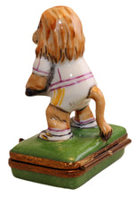 Load image into Gallery viewer, SKU# 7080 - Lion &amp; Tennis
