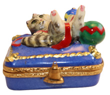 Cargar imagen en el visor de la galería, SKU# 7123 - Gatito navideño
