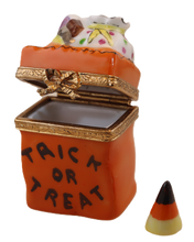 Cargar imagen en el visor de la galería, SKU# 7232 - Bolsa de dulces o trucos

