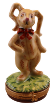 Load image into Gallery viewer, SKU# 7400 - Bedtime Bunny
