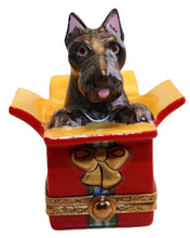 Cargar imagen en el visor de la galería, SKU# 7490 - Scottie en caja de regalo
