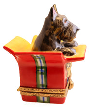 Cargar imagen en el visor de la galería, SKU# 7490 - Scottie en caja de regalo
