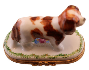 Código de artículo 7528 - Cavalier King Charles