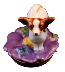 SKU# 7647 - Perro Papillon
