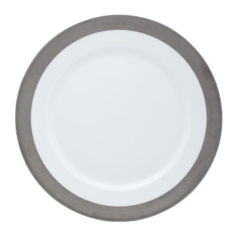 SKU# B310-EMP20747 - Danielle Platinum Presentation Plate (1/2 Rim Matte Platinum) - Shape Recamier - Size: 12.25