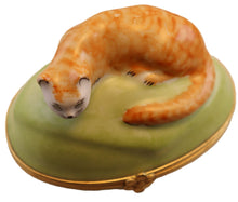 Cargar imagen en el visor de la galería, SKU# C077122 -  Large Tabby Cat
