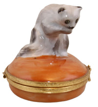 Load image into Gallery viewer, SKU# C077125 -  Grey Cat
