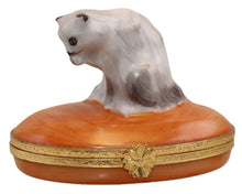 Load image into Gallery viewer, SKU# C077125 -  Grey Cat
