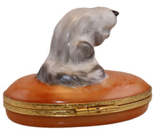 Load image into Gallery viewer, SKU# C077125 -  Grey Cat
