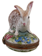 Load image into Gallery viewer, SKU# C093011  Rabbit
