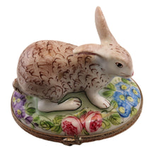 Load image into Gallery viewer, SKU# C093011  Rabbit
