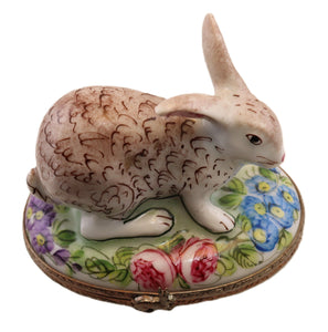 SKU# C093011  Rabbit