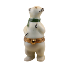 Load image into Gallery viewer, SKU# R108 - POLAR BEAR With  GREEN SCARF
