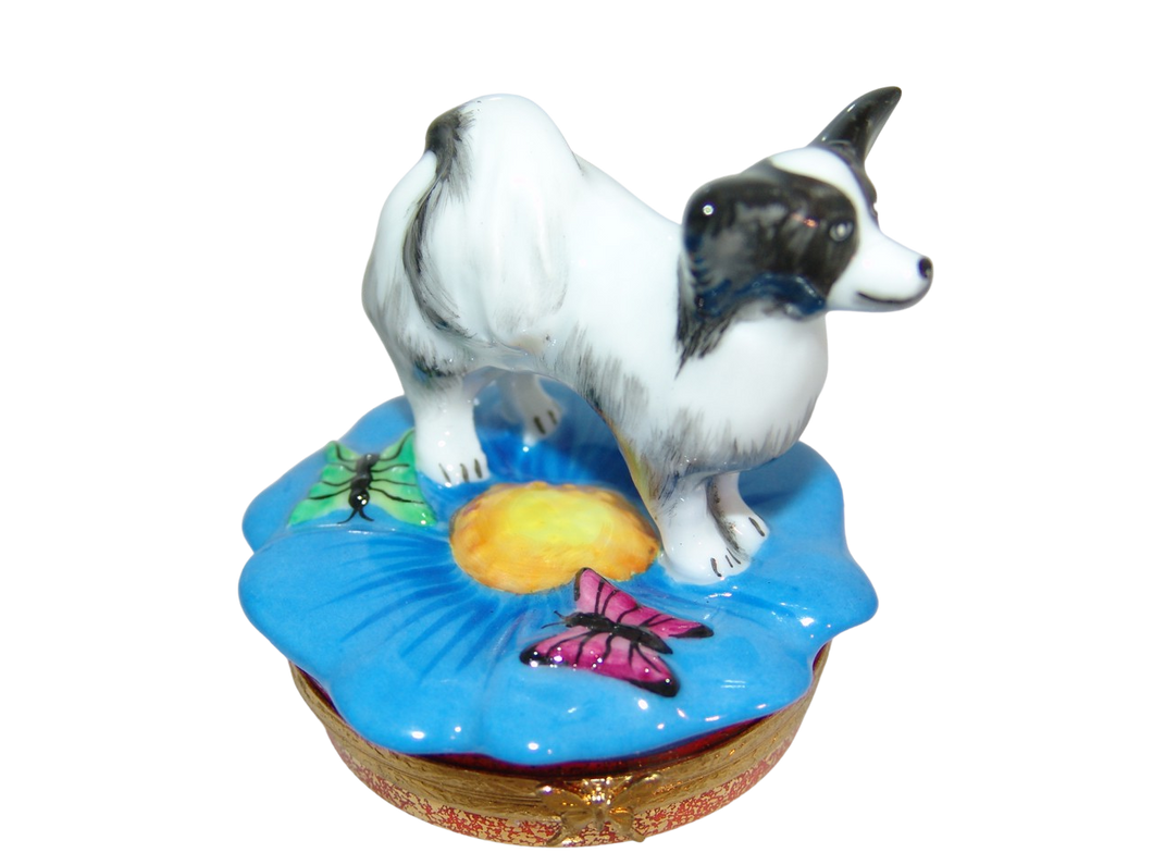 SKU# 3638 - Perro Papillon: Blanco y negro